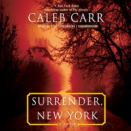 Icon image Surrender, New York: A Novel