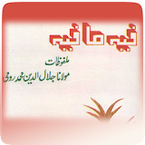 Feehee Ma Feehee (Urdu Malfuzat Maulana Raum R.A) icon