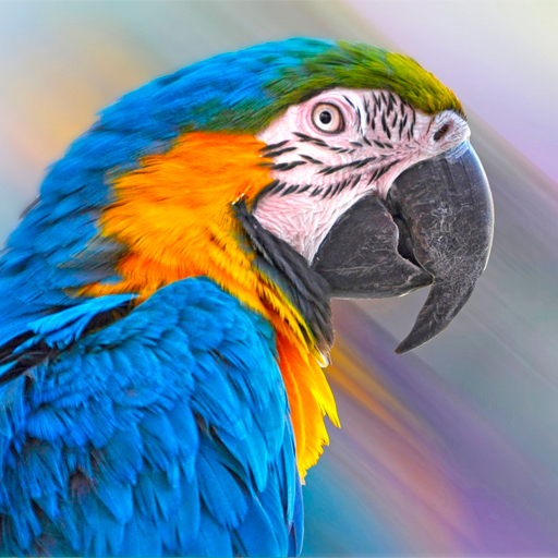 Parrot Wallpapers logo