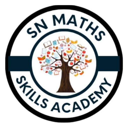 SN MATHS SKILLS ACADEMY logo