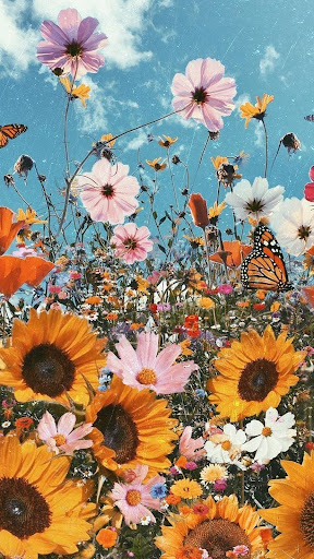 Sunflower Wallpapers Screen 3