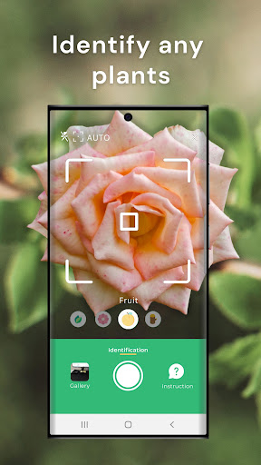 Vista previa de la aplicación