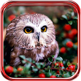 Owls Forest live wallpaper icon