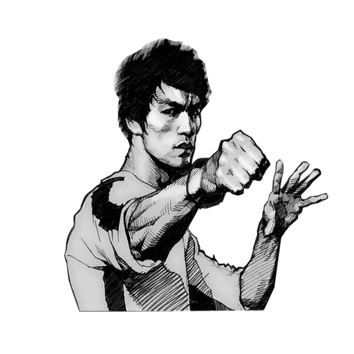 Bruce Lee HD Wallpapers logo