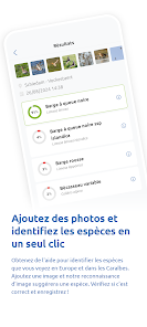 Capture d'écran