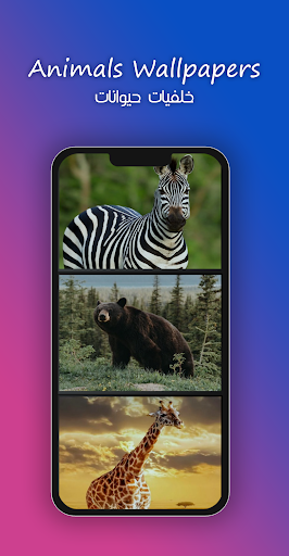 8k Animals Wallpapers Screen 3