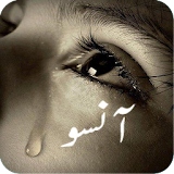Sad Poetry - Urdu Lines icon