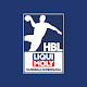 LIQUI MOLY Handball Bundesliga Descarga en Windows