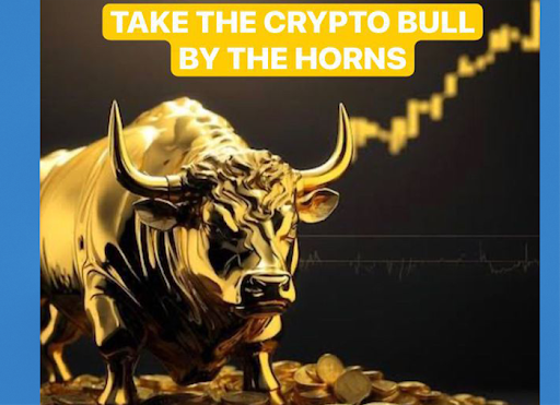 BULLRUN TRADERS AND MINERS