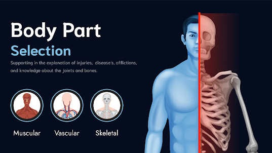 X-ray Body Scanner Camera 2