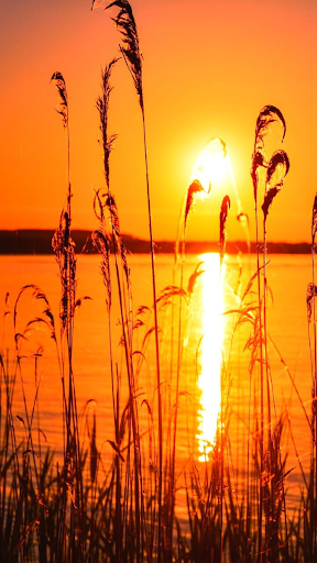 Sunrise Sunset HD Wallpapers