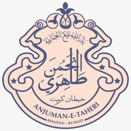 TMK53 logo