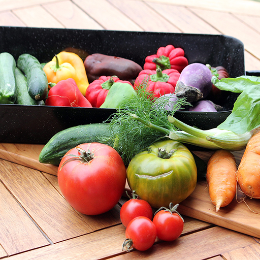 Vegan Recipes: cook easy food logo