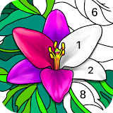 Daily Coloring Paint by Number icon