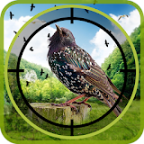 Flying Real Jungle birds hunter Mission icon