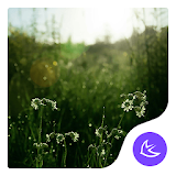 Forest Plants Simple-APUS Launcher stylish theme icon