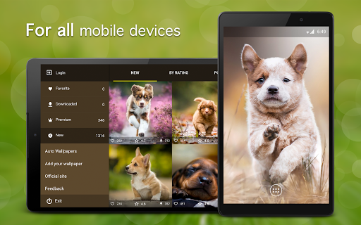 Screenshot of Puppy Wallpapers 4K