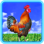Cover Image of Télécharger Rooster Wallpaper 1.1.1 APK
