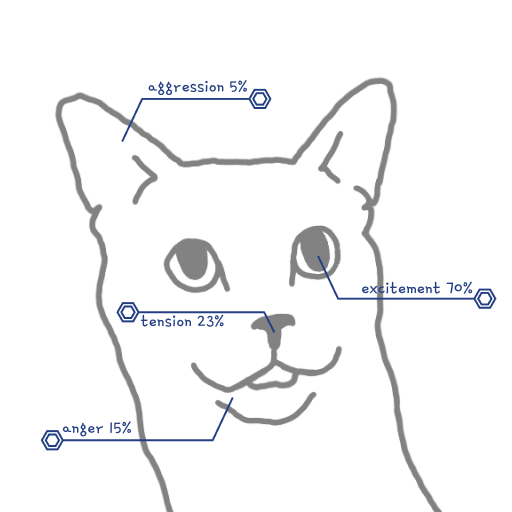 기분 어떠냐옹 MOODEOW