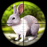 Rabbit Hunting Challenge - Sniper Shooting Games