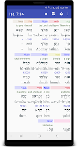 Hebrew/Greek Interlinear Bible Unknown
