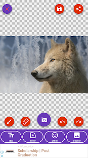 Arctic Wolf, Wolf Wallpapers 1.0.7 APK screenshots 3
