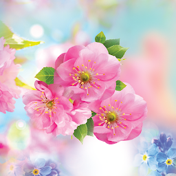 Image de l'icône Spring Flower Live Wallpaper