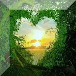 Cover Image of Download Love Images of nature 2.7 APK
