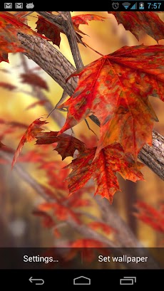 Autumn Tree Live Wallpaperのおすすめ画像3