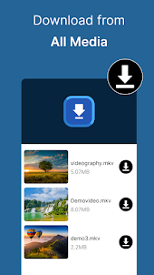 Whasapp Video Story Downloader