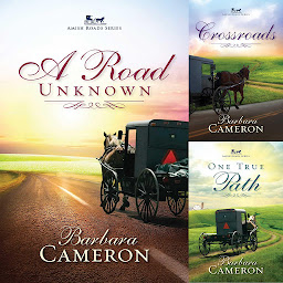 Icon image Amish Roads Series