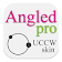 Angled pro (UCCW skin) icon