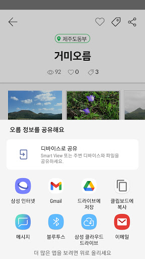 오름올라 - 제주도 오름 정보 제공