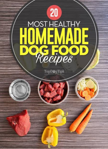 Dog Care GuideDog Health Tips