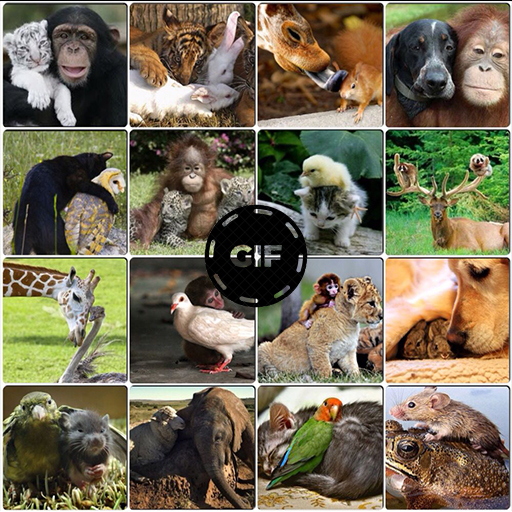 Animals GIFs logo