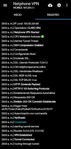 Netphone VPN Screen 3