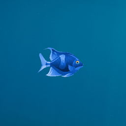 Fish Hunting Fish