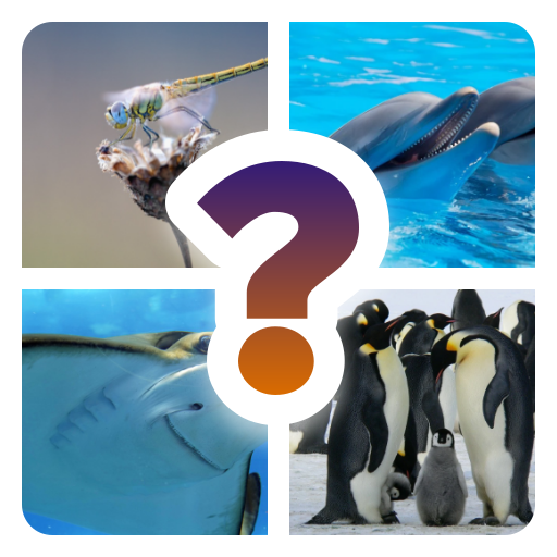 Picture Tile: Trivia Challenge logo