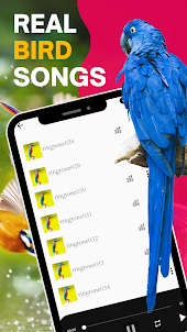 Bird sounds ringtones