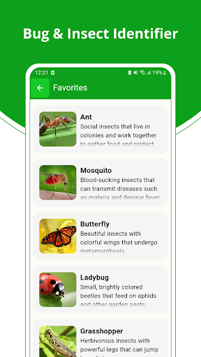 Bug and Insect Identifier Screen 3