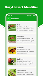 Bug and Insect Identifier