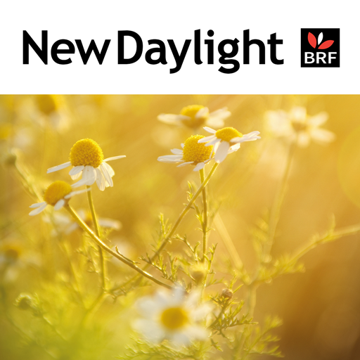 New Daylight 1.9.1 Icon