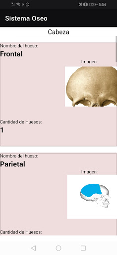 Huesos Screen 3