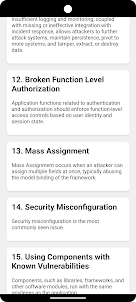 50 OSWAP Vulnerabilities