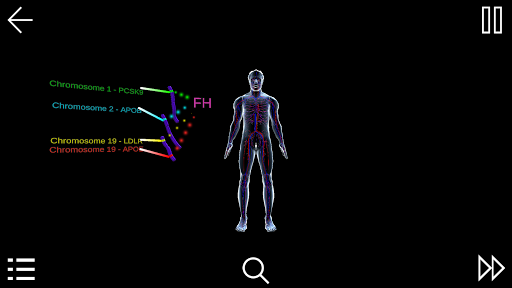 Android application Familial Hypercholesterolemia screenshort