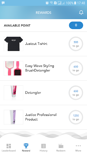 Justice Professional Screen 3