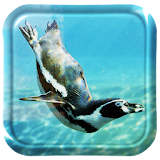 Swimming Penguins Live icon