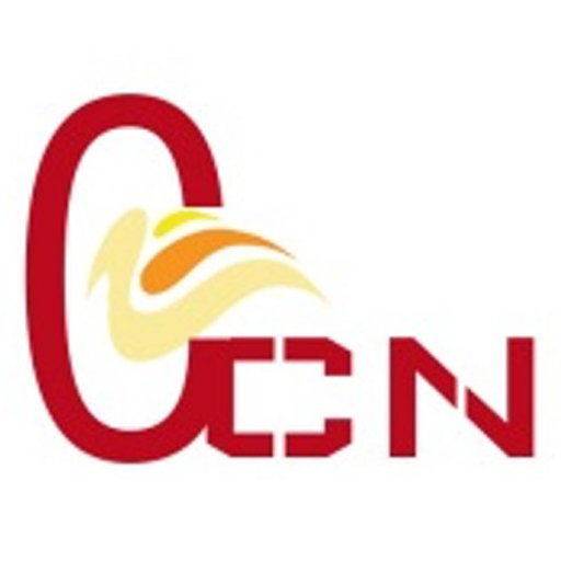 Net Pay logo