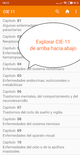 Vista previa de la aplicación