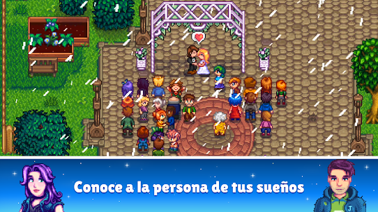 Stardew Valley: Dinero infinito 5